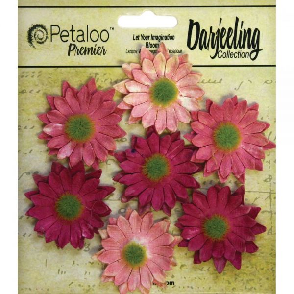 NOTM291346 Darjeeling Mini Daisies 1.25" 7/Pkg