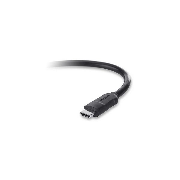 SYNX2216196