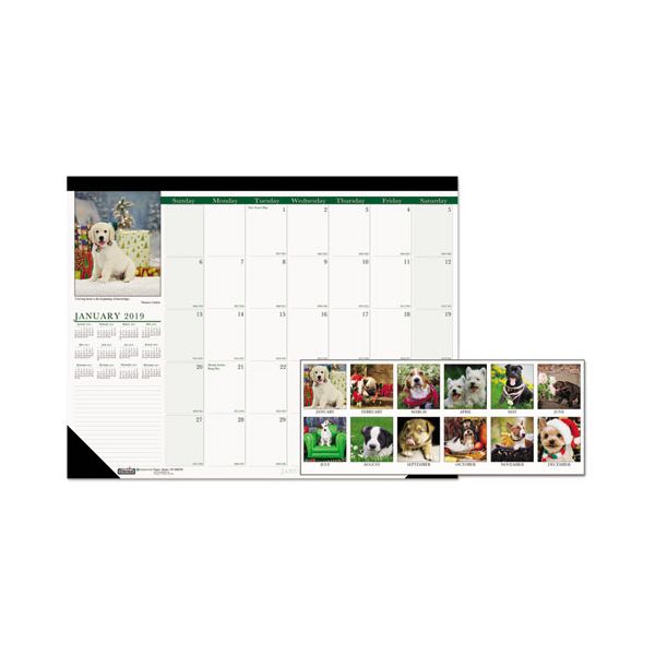 HOD1996 House of Doolittle Recycled Puppies Photographic Monthly Desk Pad Calendar, 18 1/2 x 13, 2019