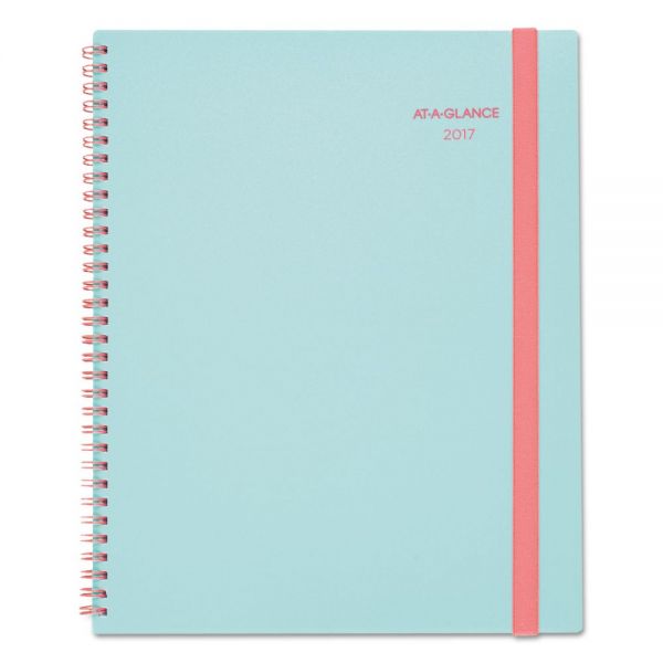 AAG89590542 AT-A-GLANCE Color Play Weekly/Monthly Planner