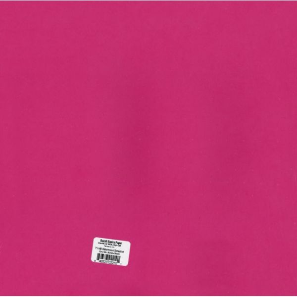NOTM323212 Bazzill Watermelon Sensation Cardstock