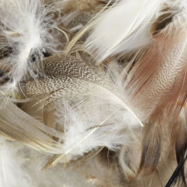 NOTM251539 Domestic Goose Feathers 6g