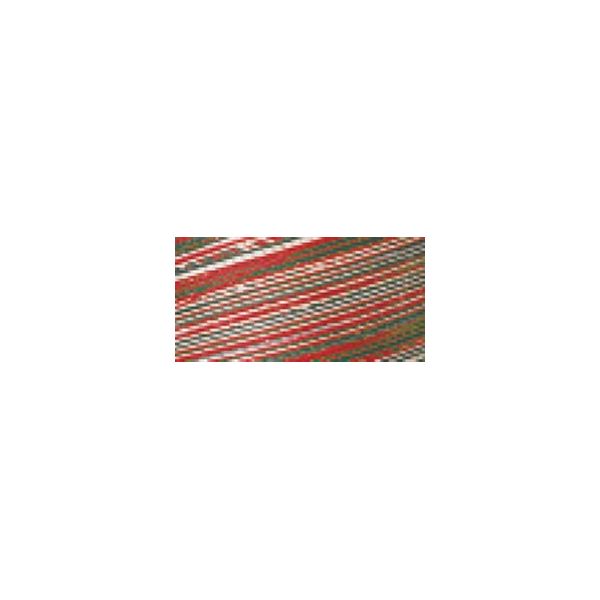 NOTM039306 Signature 41 Cotton Variegated Colors 700yd