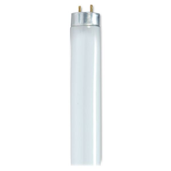 SDNS8440 Satco 25-watt 48" T8 Fluorescent Bulb