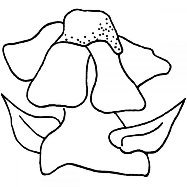NOTM383359 Joggles Cling Stamp 2"X2"