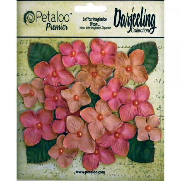 NOTM291293 Darjeeling Hydrangeas 1" - 1.5" 24/Pkg