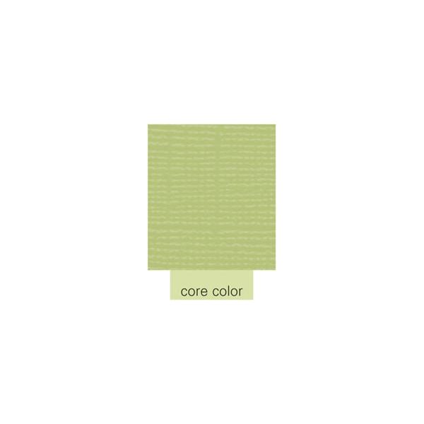 NOTM364838 Core'dinations Core Essentials Cardstock