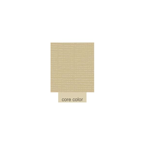 NOTM364863 Core'dinations Core Essentials Cardstock