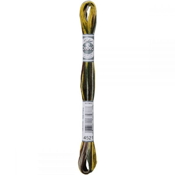 NOTM352631 DMC Coloris 6-Strand Embroidery Floss (517S-4521)