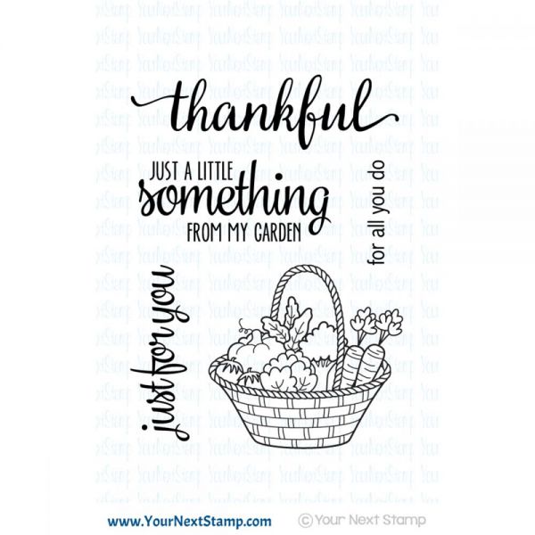 NOTM357893 Your Next Stamp Clear Stamps 3"X4"