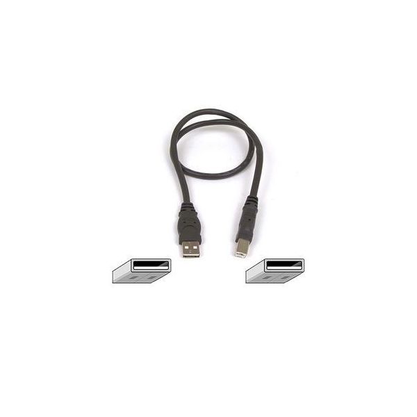 SYNX956536 Belkin Pro Series USB 2.0 Device Cable