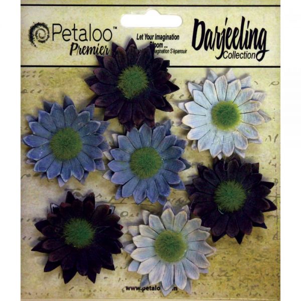 NOTM291349 Darjeeling Mini Daisies 1.25" 7/Pkg