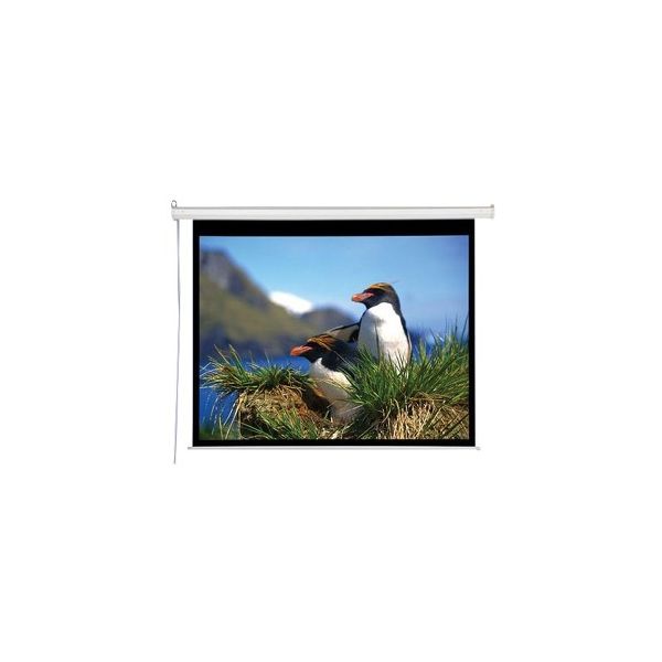 SYNX2775771 Draper Electrol Projection Screen
