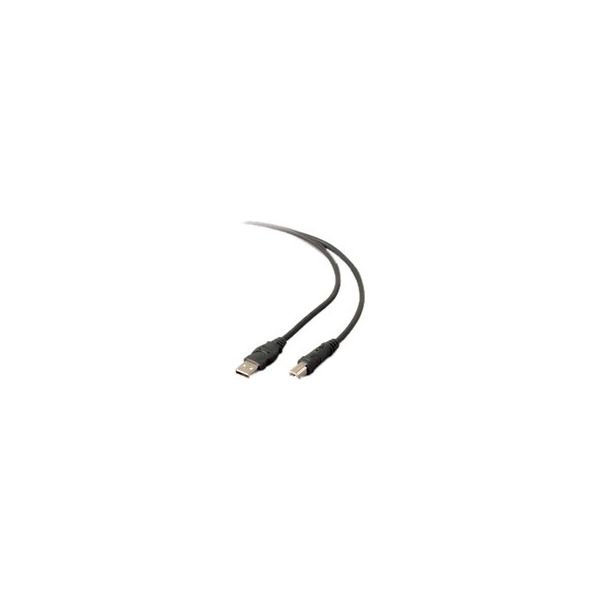 SYNX3552885 Belkin USB Extension Cable