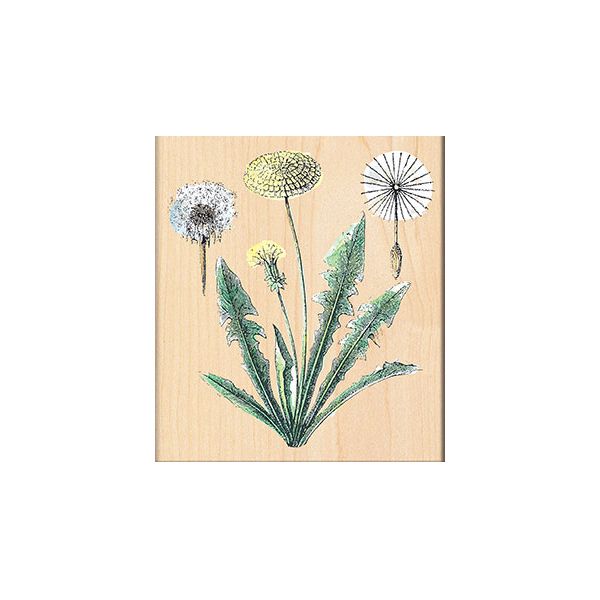 NOTM311219 Penny Black Mounted Rubber Stamp 4"X4.5"