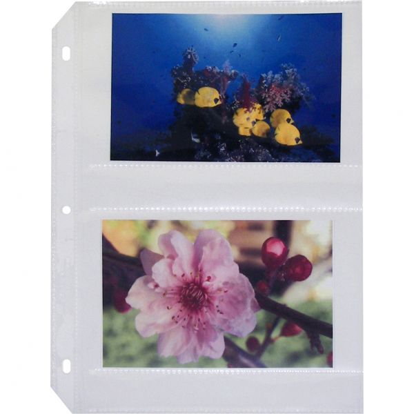 CLI52564 C-Line 3-Hole Polypropylene Photo Protector