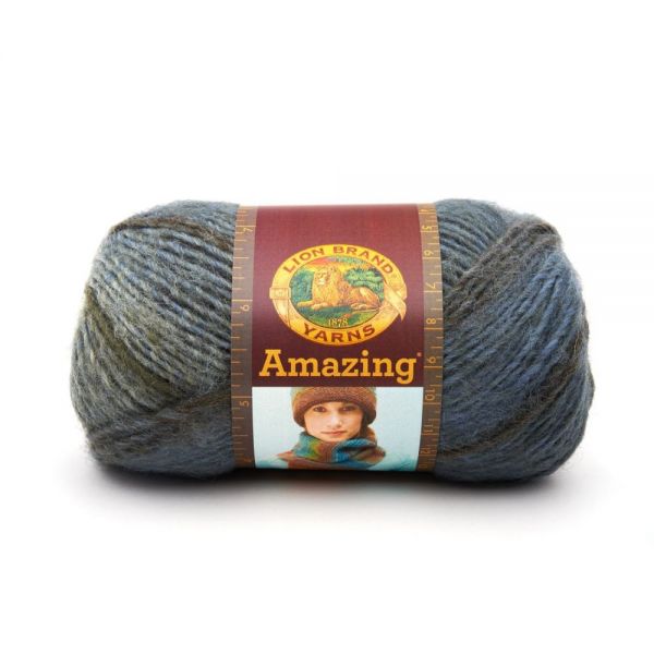 NOTM418373 Lion Brand Amazing Yarn
