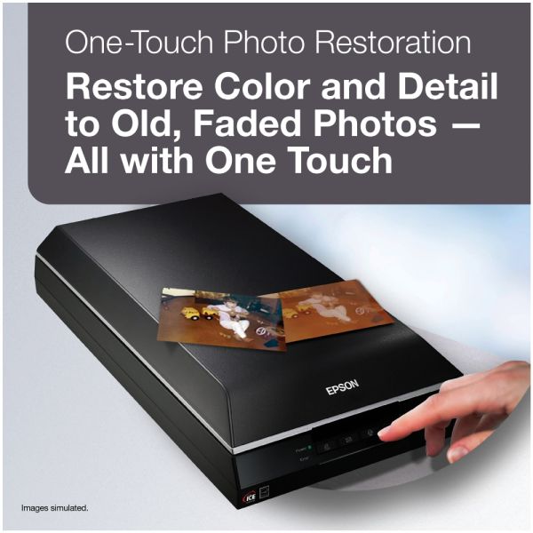 Epson Perfection V600 Photo Scanner | OfficeSupply.com