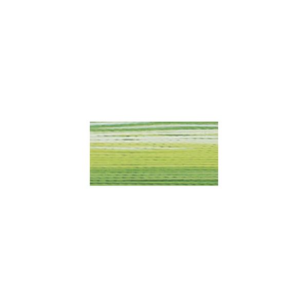 NOTM023017 Rayon Super Strength Thread Variegated Colors 700yd