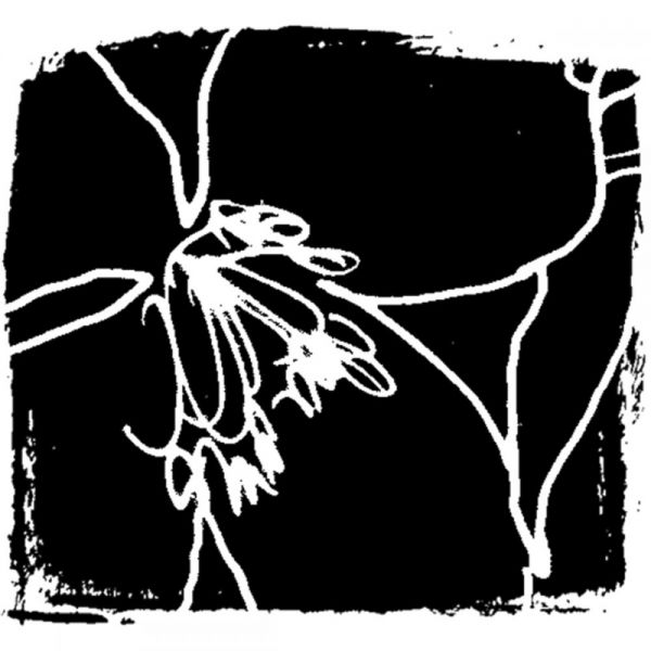 NOTM383368 Joggles Cling Stamp 2.75"X2.5"
