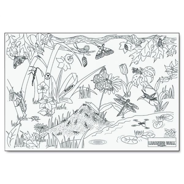 PAC78920 Pacon Learning Walls Paper, Insects, 72" x 48"