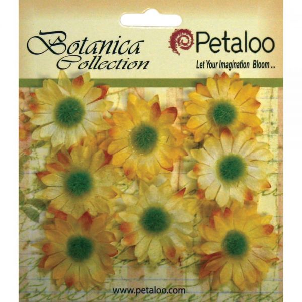 NOTM291255 Botanica Mini Gerbera Daisies 1.25" 8/Pkg