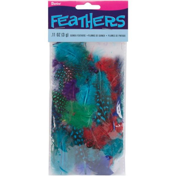 NOTM236523 Guinea Feathers
