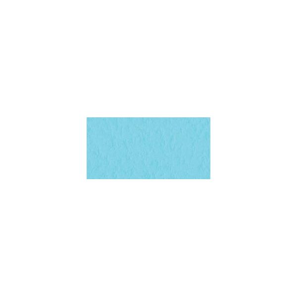NOTM219618 Bazzill Prismatic Cardstock