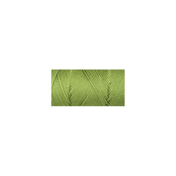 NOTM436595 Caron Simply Soft Collection Yarn - Pistachio
