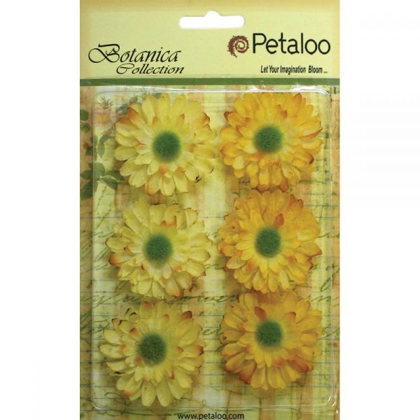 NOTM291247 Botanica Gerbera Daisies 1.75" 6/Pkg