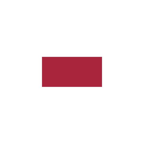 NOTM319973 Ceramcoat Red Acrylic Paint