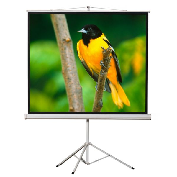 IGRM1U6686 EluneVision Tripod Projection Screen - 71" - 1:1 - Surface Mount