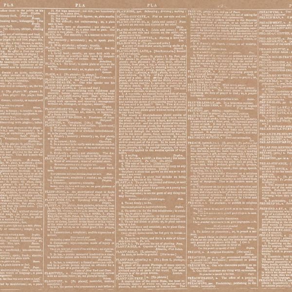 NOTM424993 DIY Shop 4 Specialty Cardstock 12"X12"