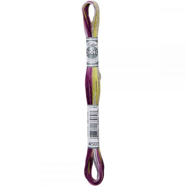 NOTM352529 DMC Coloris 6-Strand Embroidery Floss (517S-4503)