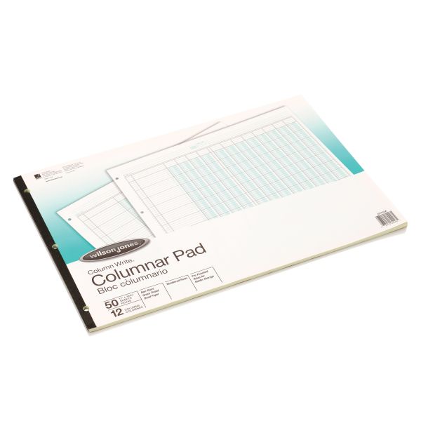 Wilson Jones 12 Column Ledger Sheets