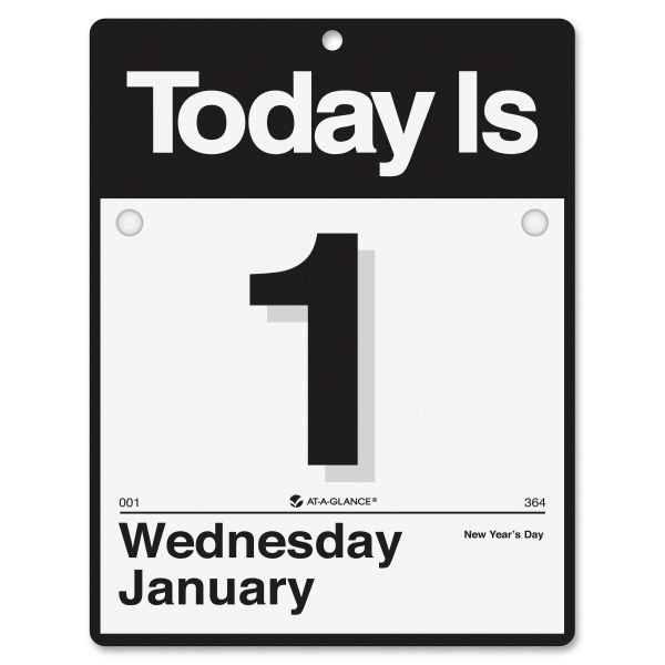 AAGK400 AT-A-GLANCE Today Is Wall Calendar, 9 3/8 x 12, White, 2019
