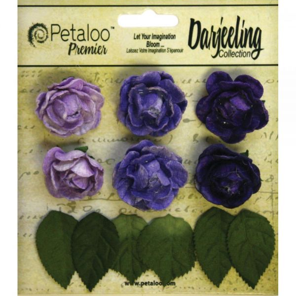 NOTM291287 Darjeeling Mini Garden Rosettes 1" 6/Pkg