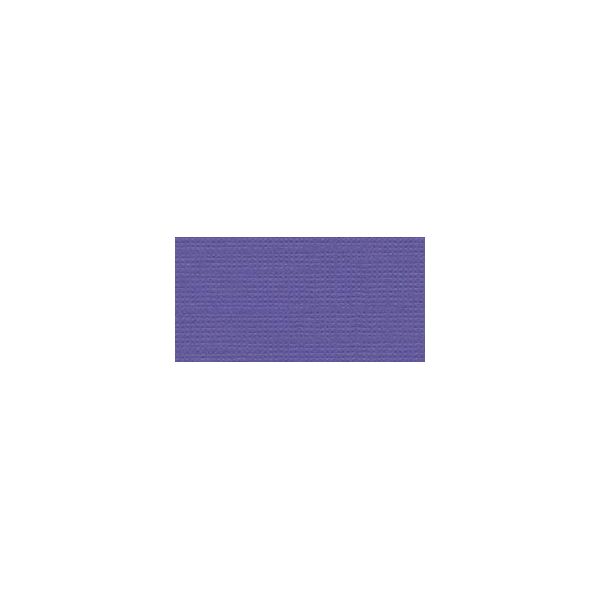 NOTM301489 Bazzill Cardstock