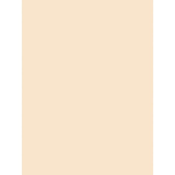 PAC5190 Pacon Manila Tagboard, Medium Weight, 18 x 24, 100 Sheets/Pack