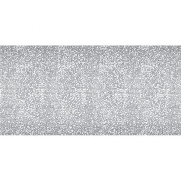 PAC56425