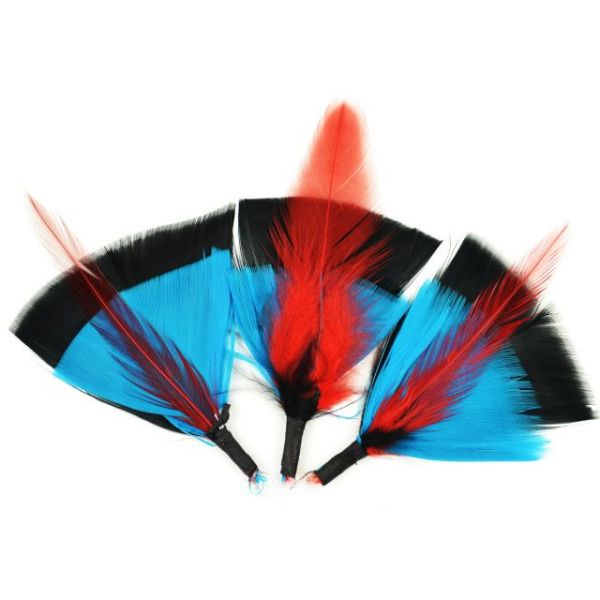 NOTM159787 Feather Picks