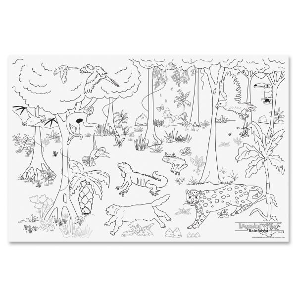 PAC78840 Pacon Learning Walls Paper, Rain Forest, 72" x 48"