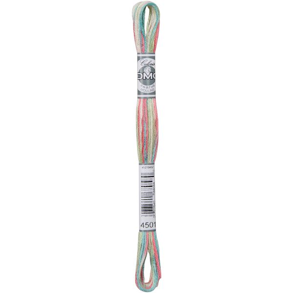NOTM352527 DMC Coloris 6-Strand Embroidery Floss (517S-4501)