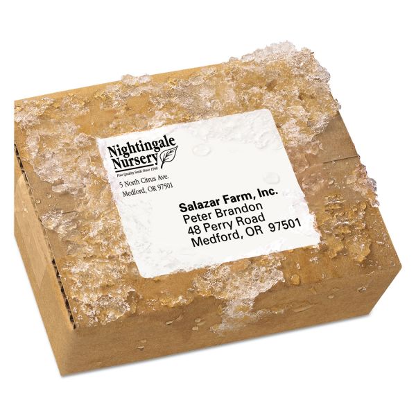 AVE5524 Avery WeatherProof Shipping Labels w/TrueBlock, Laser, White, 3 1/3 x 4, 300/Pack