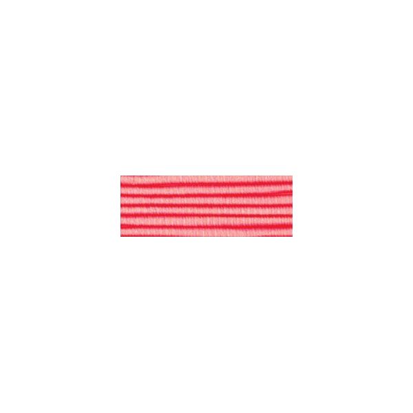 NOTM017723 DMC Color Infusions Memory Thread (CIM09-6130)