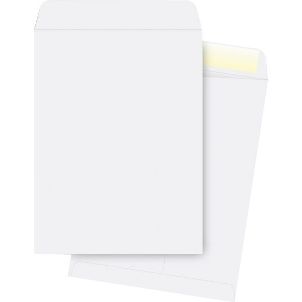 BSN42103 Business Source 10" x 13" Catalog Envelopes