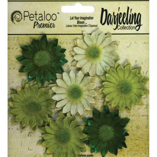 NOTM291351 Darjeeling Mini Daisies 1.25" 7/Pkg