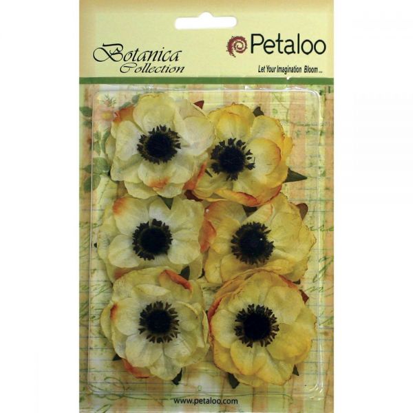 NOTM291263 Botanica Anemone Flowers 2" 6/Pkg