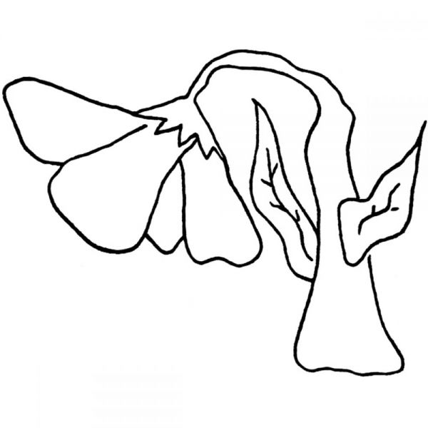 NOTM383360 Joggles Cling Stamp 2.5"X2"