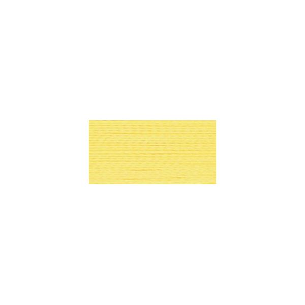NOTM020365 Robison Anton Rayon Super Strength Thread